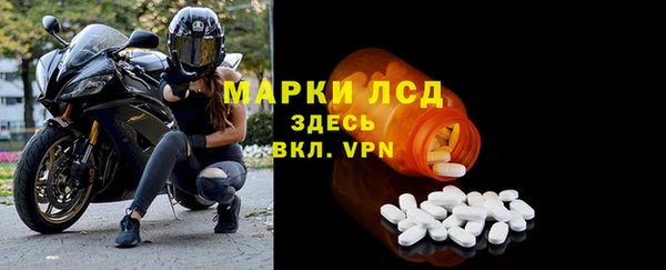 ПСИЛОЦИБИНОВЫЕ ГРИБЫ Кодинск