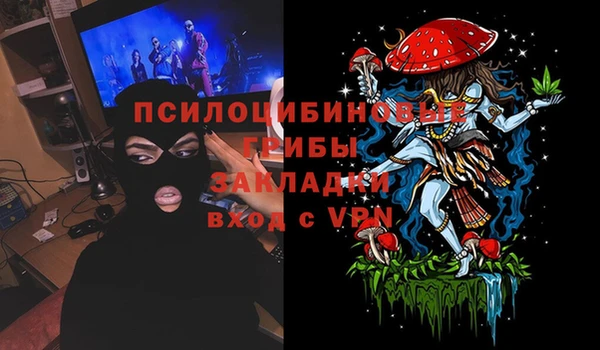 a pvp Козловка