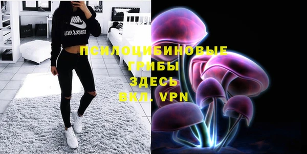 марки lsd Козельск