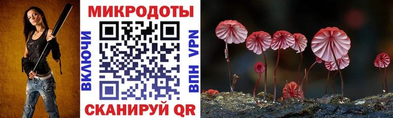 Галлюциногенные грибы мухоморы  даркнет сайт  Щигры 